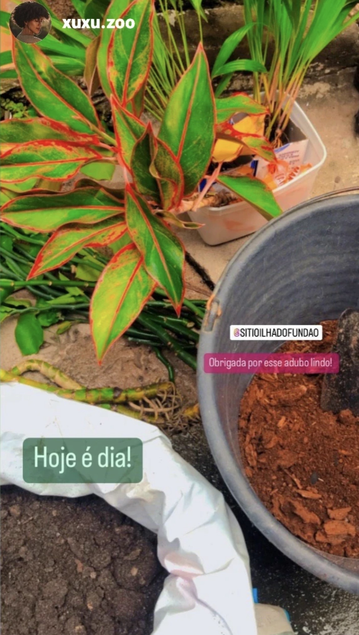 Depoimento cliente 7